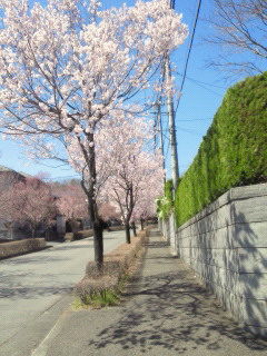 201403311106001