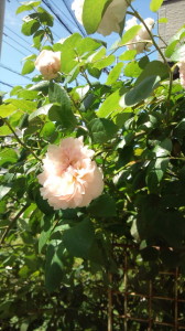 20140517093301