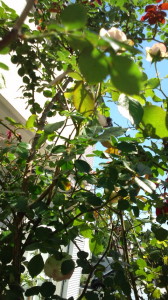 20140517093358
