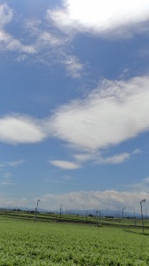 DSC02172