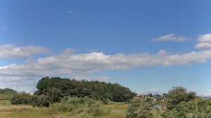 DSC03198