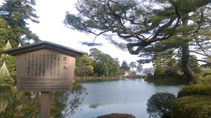 IMAG0135