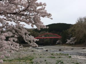 IMG_3071