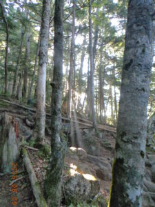 DSC05451