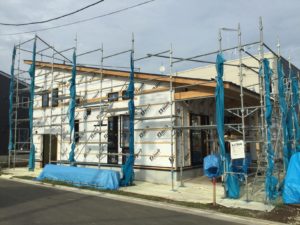 image3 (4)