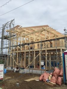 image1 (2)