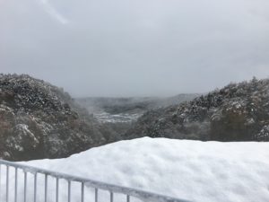 IMG_2912