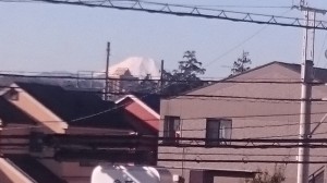 富士山