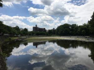 IMG_4337