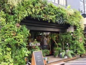 4444image1