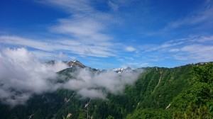 IMG_2993