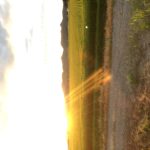 IMG_1923