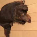 見送るもも
