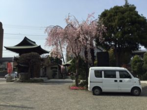 IMG_9762